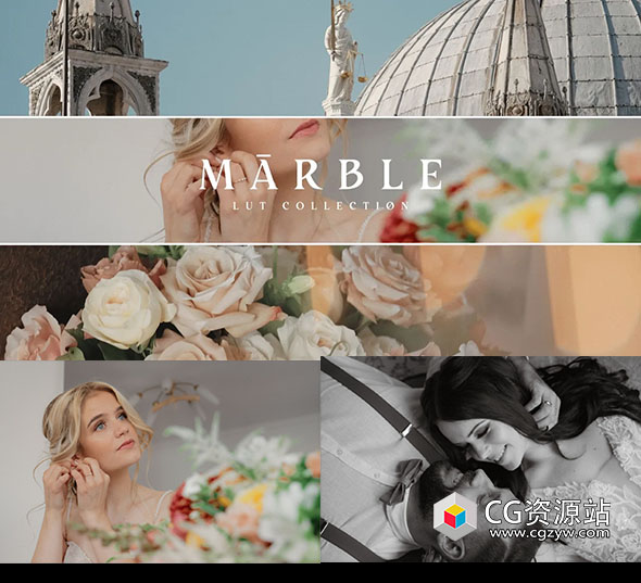 5组高端优雅欧美风格婚礼LUTs视频调色预设 Gamut – Marble Luts-图片1