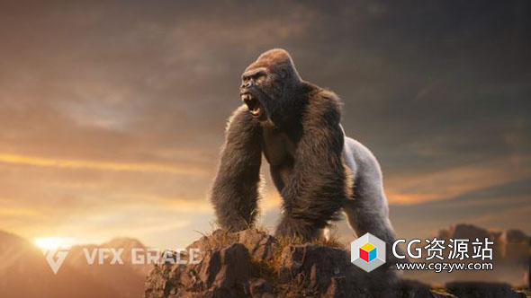 Blender大猩猩绑定3D模型 Silverback Gorilla