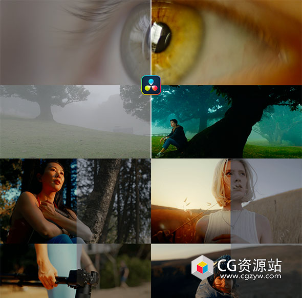 达芬奇预设-电影胶片模拟视频调色节点预设 Ultimate Powergrade-图片1