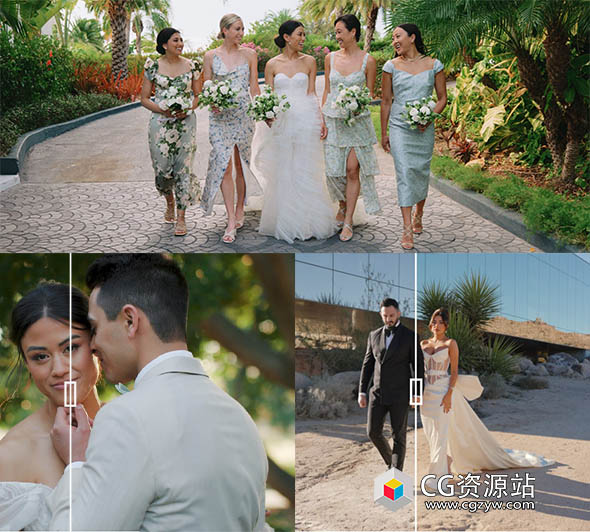 豪华婚礼LUTs视频调色预设三套 Gamut – The Luxury Wedding Bundle