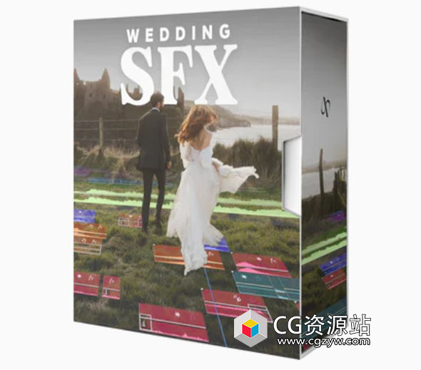 婚礼短片剪辑人群派对教堂钟声香槟倒酒氛围转场过渡WAV音效素材包 The Wedding SFX Pack-图片1