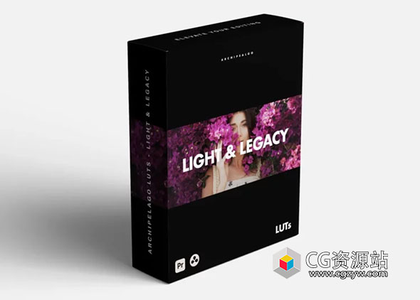 5组电影感旅拍婚礼人像肤色干净明亮调色LUT预设 Archipelago Light & Legacy LUTs-图片1