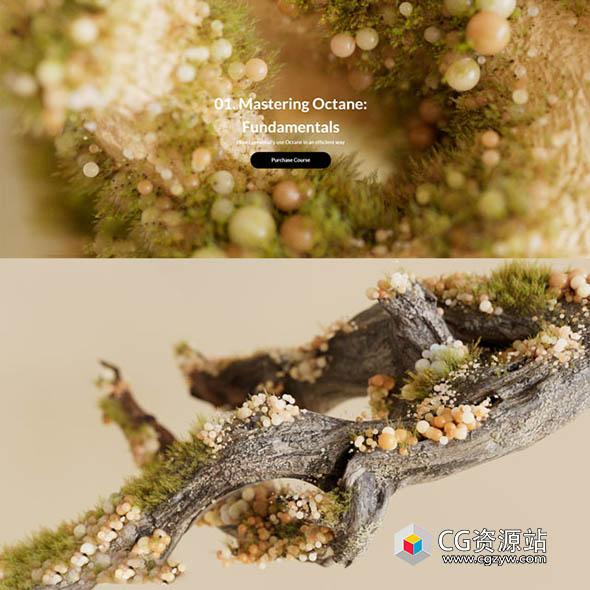 MotionPunk出品C4D Octane渲染器全面掌握入门基础教程+中文字幕