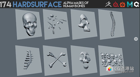 174个人类骨骼贴图素材alpha 通道 174 Hardsurface alpha masks of human bones-图片1