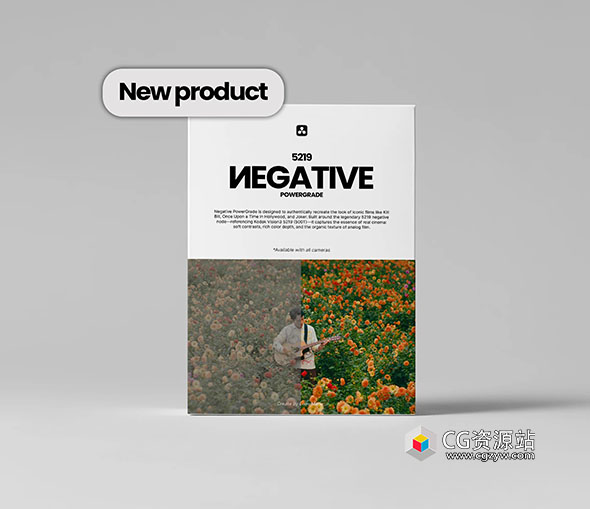 达芬奇调色节点-电影级经典好莱坞柯达胶片模拟+LUT预设 Loris Marie – Negative Powergrade-图片1