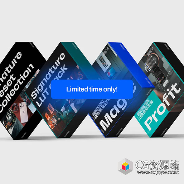 达芬奇剪辑大师课程创意视频LUT/LR调色预设套装5合1+中英文字幕 Amar Muric – The Entire Store Collection-图片1