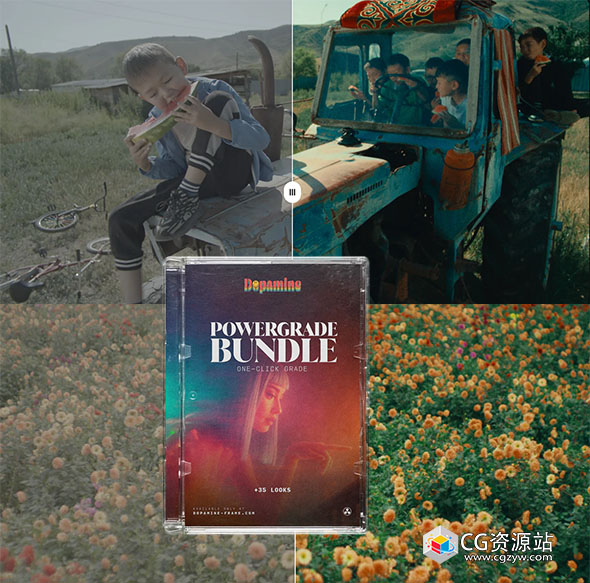 达芬奇调色节点复古柯达胶片模拟电影感+LUT预设+中文字幕教程 The Powergrade Bundle-图片1