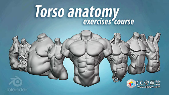 Blender人体躯干解剖形体3D雕刻视频教程+中英文字幕 Torso anatomy exercises course